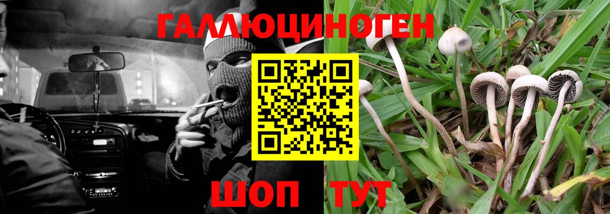 Галлюциногенные грибы GOLDEN TEACHER  Вход с VPN  Мирный 