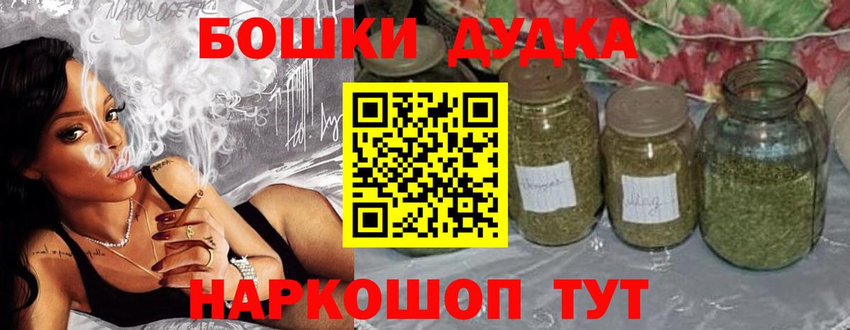 Конопля сатива Мирный